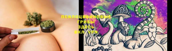 твердый Алексин