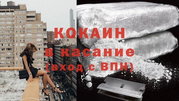 твердый Алексин