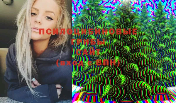 MDMA Алексеевка