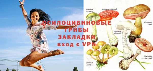 твердый Алексин