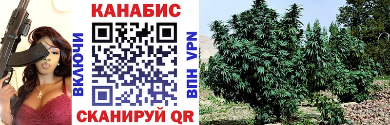 купить закладку  Чухлома  мега рабочий сайт  Конопля SATIVA & INDICA 